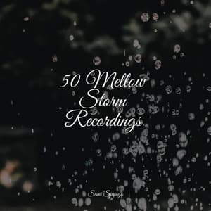 50 Mellow Storm Recordings - Sleep Songs 101