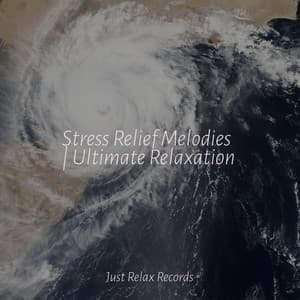 Stress Relief Melodies | Ultimate Relaxation - Meditación Guiada