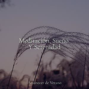 Meditación, Sueño Y Serenidad - Rumbas de España