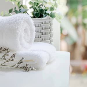 Lofi Harmony: Soothing Sounds for Massage Therapy - Delightful Music