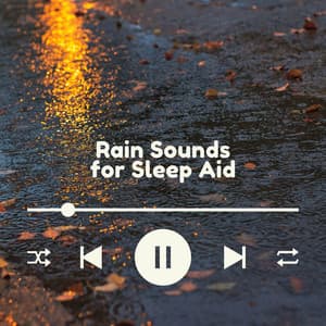 Drizzle of Misty Nights - Rain Sounds for Sleep Aid