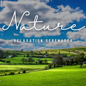 Relaxation Serenades: Melodic Escapes - Instant Relax