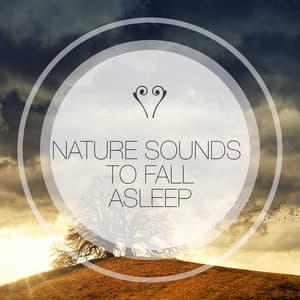 Nature Sounds to Fall Asleep - Sleep Waves