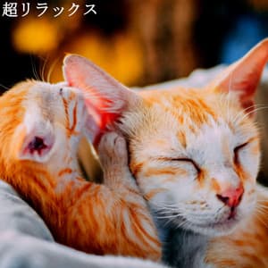 超リラックス - Coffeehouse Lounge