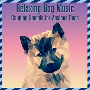 Relaxing Dog Music: Calming Sounds for Anxious Dogs - Relaxmydog