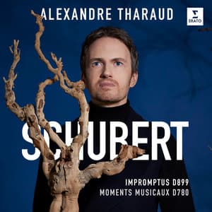 Schubert: 4 Impromptus, D. 899 & 6 Moments musicaux - Franz Schubert