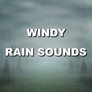 Windy Rain Sounds - Wind and Rain Sounds