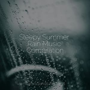 Sleepy Summer Rain Music Compilation - Ocean Sounds