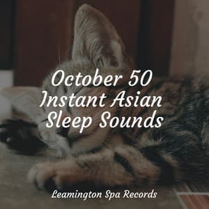 October 50 Instant Asian Sleep Sounds - The Sleep Helpers