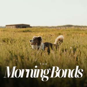 Morning Bonds - Puppy Music