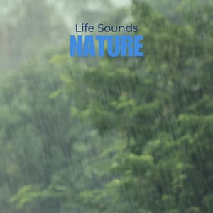Downpour Rainfall - Life Sounds Nature