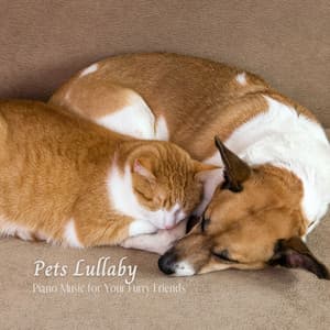 Pets Lullaby: Piano Music for Your Furry Friends - Sad Piano Music Collective