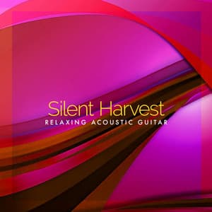 Silent Harvest - Relaxing Acoustic Guitar