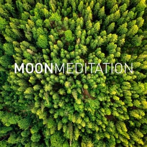 Restful Night Serenades - Moon Meditation
