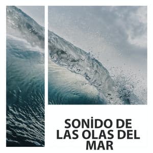 Sonido de Las Olas Del Mar - Musica Para Dormir y Sonidos de la Naturaleza
