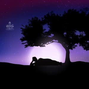 Buddhist Slumber Awareness: Peacefull Fall Asleep, Tranquility Soul, Slumbermark, Brainspotting - Buddhist Meditation Music Set