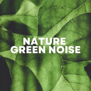 Nature Green Noise - Rain Sounds