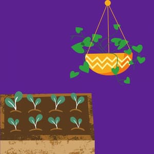 Music for Summer Tones - Work at Home Music