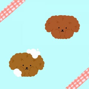 Feelings for Dog Memories - Sleepy Dogs