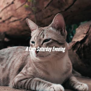 A Lazy Saturday Evening - Jazz Atrayente para Hoteles