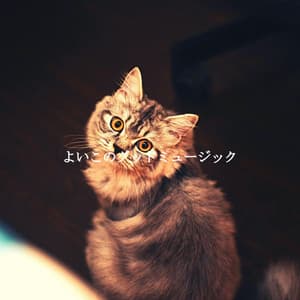 よいこのグッドミュージック - Chill Lounge