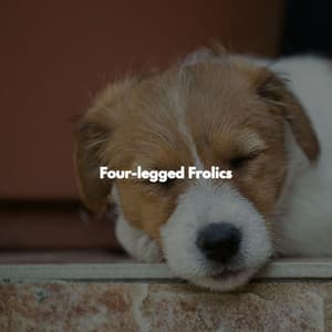 Four-legged Frolics - Soft Jazz Cafe