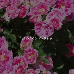 1日のサウンドトラック - Jazz Evenings