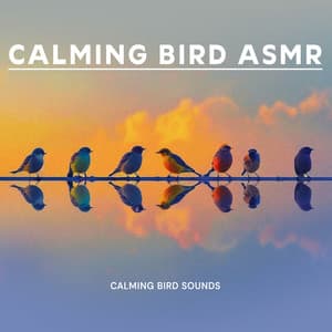 Calming Bird ASMR - Calming Bird Sounds