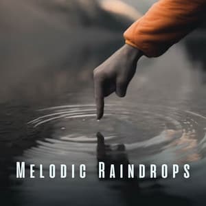 Melodic Raindrops: Binaural Massage for Stress Relief - Rain Palace