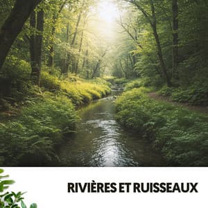 Rivières et Ruisseaux : Mélodies Aquatiques - Ruido Blanco Hart