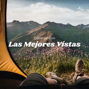 Caminar Con Las Mejores Vistas - Camino del pino