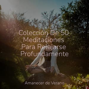 Colección De 50 Meditaciones Para Relajarse Profundamente - Meditation Relaxation Club