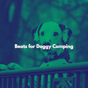 Beats for Doggy Camping - Norway Jazz Norge