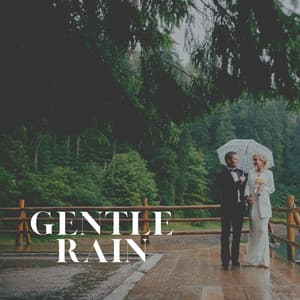 Gentle Rain - Always Raining