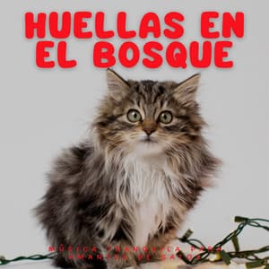 Huellas En El Bosque: Música Tranquila Para Amantes De Gatos - Sonido Del Bosque y Naturaleza