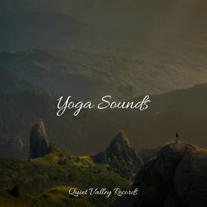 Yoga Sounds - Musica para Massagem Especialistas