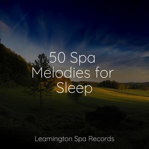 50 Spa Melodies for Sleep - Rain Sounds Factory STHLM