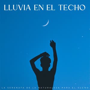 Lluvia En El Techo: La Serenata De La Naturaleza Para El Sueño - Lofi Dormir