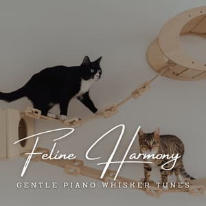 Piano Purrscapes: Feline Harmony - Elba