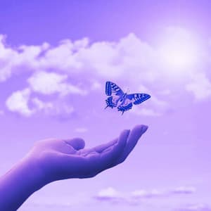 Echoes of Periodic Times - Modern Dinner Music