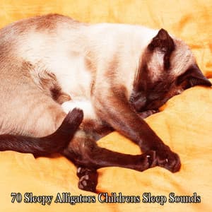 70 Sleepy Alligators Childrens Sleep Sounds - Baby Rest