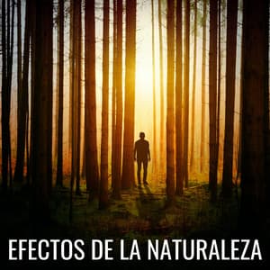Efectos De La Naturaleza - Vida Sonidos Naturaleza