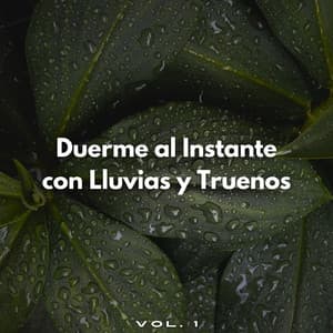 Duerme Al Instante Con Lluvias Y Truenos Vol. 1 - Sonidos de lluvia pesada