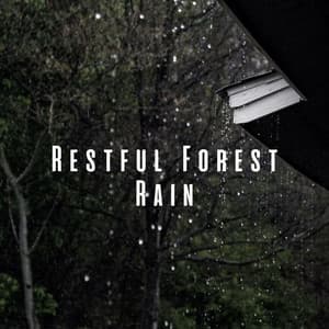 Restful Forest Rain: Sleepy Sounds for Rainy Night ASMR - Calm Sleep Rain Sound