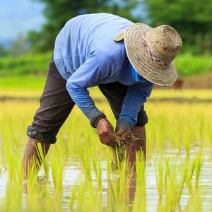 Peaceful Workflow: Work Sessions with Rain and White Noise - Static White Noise Sounds