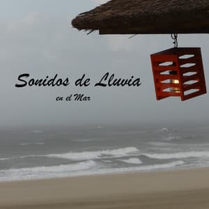 Sonidos de Lluvia en el Mar - Sonidos Relajantes de la Naturaleza by Beneluxa