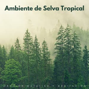 Ambiente De Selva Tropical: Oración Matutina Y Meditación - Sonidos de la selva tropical