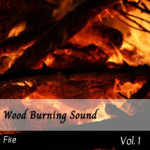 Fire: Wood Burning Sound Vol. 1 - Fire Sounds