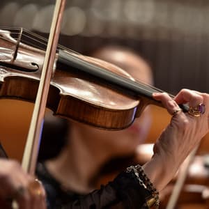 Symphony of Serenity: Orchestra Peace - Jason Humphries