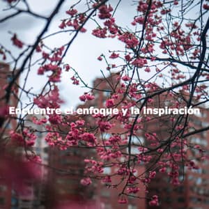 Encuentre el enfoque y la inspiración - Bebop Jazz Radio